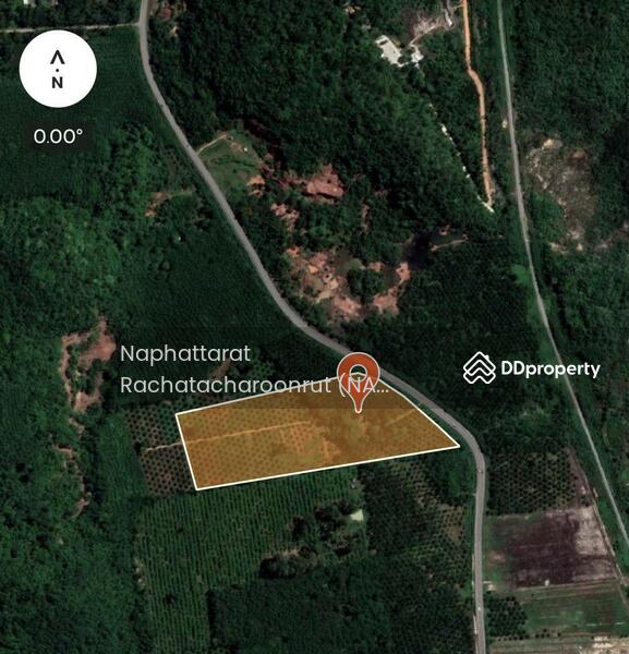 For Sale - Hot spring land, Surat Thani, Surat Thani