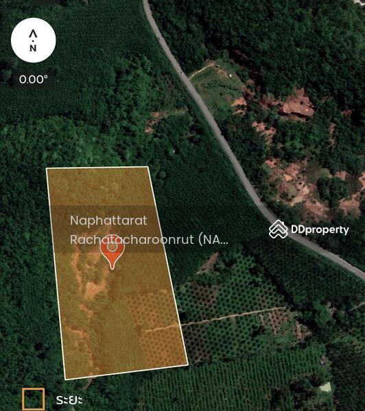 For Sale - Hot spring land, Surat Thani, Surat Thani