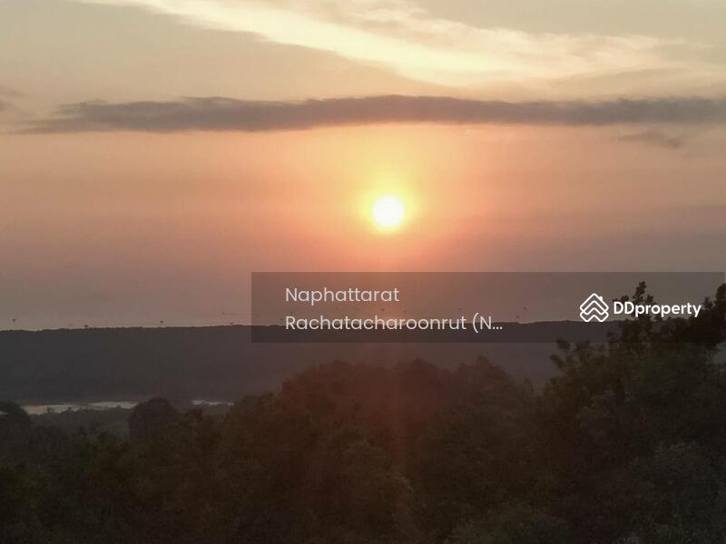 For Sale - Hot spring land, Surat Thani, Surat Thani
