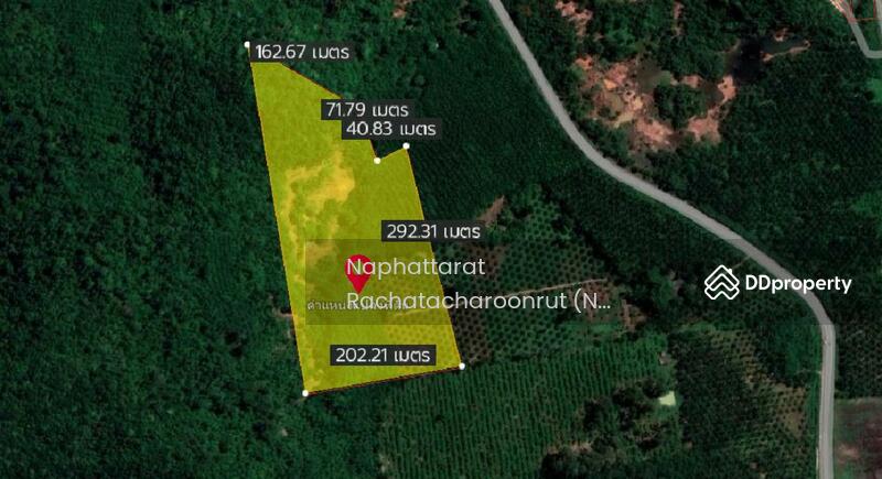 For Sale - Hot spring land, Surat Thani, Surat Thani