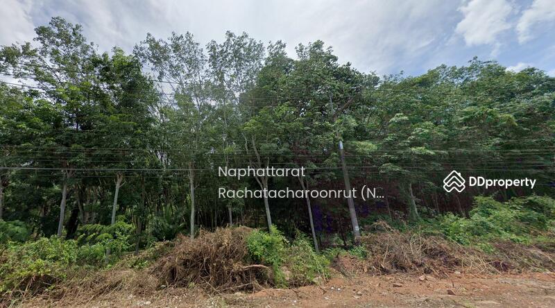 For Sale - Hot spring land, Surat Thani, Surat Thani