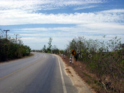 ขาย - ที่ดินติดถนน 118 ไร่ ถนน 3208 ตำบลรางบัว อำเภอจอมบึง ราชบุรี, ราชบุรี