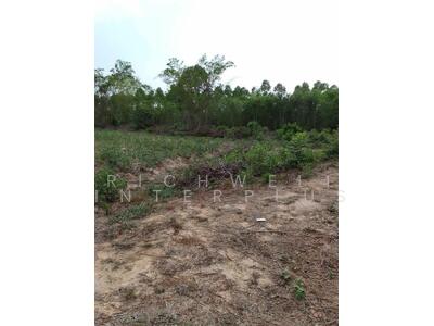 ขาย - ขายที่ดินคำโตนด 4 ไร่ หลังวัดอรัญญาราม ใกล้อบต.คำโตนด - 2 กม. อ.ประจันตคาม, ปราจีนบุรี