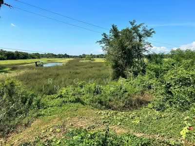 ขาย - ขายที่ดินบ้านทาม 7 ไร่ ติดถนนเส้นปจ.4043 ใกล้ตลาดท่าประชุม 2.3 กม. อ.ศรีมหาโพธิ, ปราจีนบุรี