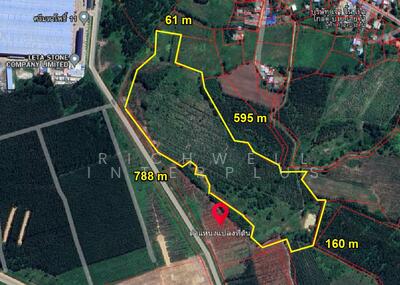 ขาย - ขายที่ดินหัวหว้าในนิคม 304 เฟส 3 เนื้อที่ 52 ไร่ ติดถนนคอนกรีต ใกล้ถนนเส้น3078 - 2.5 กม., ปราจีนบุรี