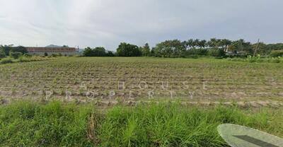 ขาย - ขายที่ดินหลักจตุจักรชลบุรี แปลงสวย ทำเลทอง, ชลบุรี