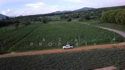 ขาย - ที่ดิน เขาคันทรง ศรีราชา ชลบุรี, ชลบุรี