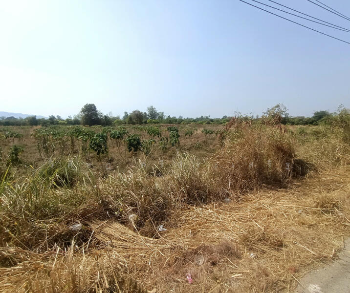 ratchaburi, -, Chom Bung, Ratchaburi, , 23,520 sqm, Land For Sale, by WISIT SRIPRASERT, 11779327 - DDproperty.com