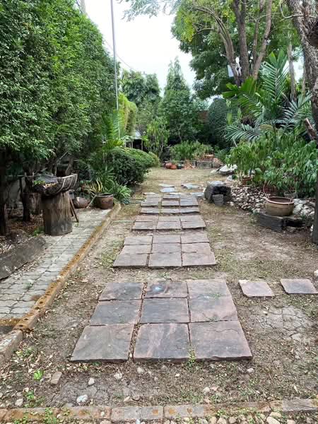 บ้านเดี่ยว ลาดพร้าว, กรุงเทพ, คลองจั่น, บางกะปิ, กรุงเทพ, 800 ตร.ม., บ้านเดี่ยว ให้เช่า, โดย ปรินทร์ญาดา ชิณโชติ, 11779653 - DDproperty.com