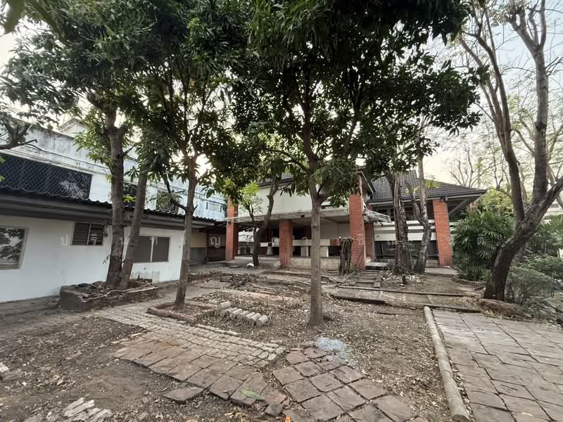 บ้านเดี่ยว ลาดพร้าว, กรุงเทพ, คลองจั่น, บางกะปิ, กรุงเทพ, 800 ตร.ม., บ้านเดี่ยว ให้เช่า, โดย ปรินทร์ญาดา ชิณโชติ, 11779653 - DDproperty.com