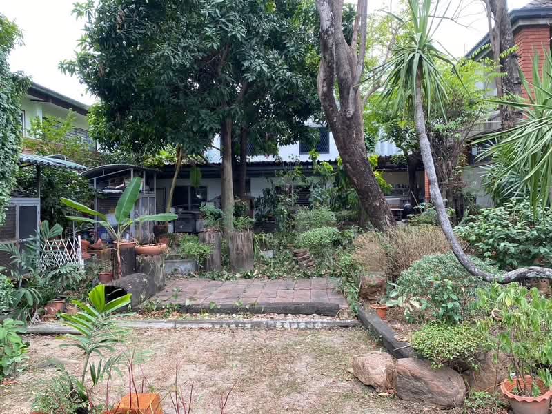 Single house Ladprao, Bangkok, Khlong Chan, Bang Kapi, Bangkok, 2 Bedrooms, 800 sqm, Single Detached House For Rent, by ปรินทร์ญาดา ชิณโชติ, 11779653 - DDproperty.com