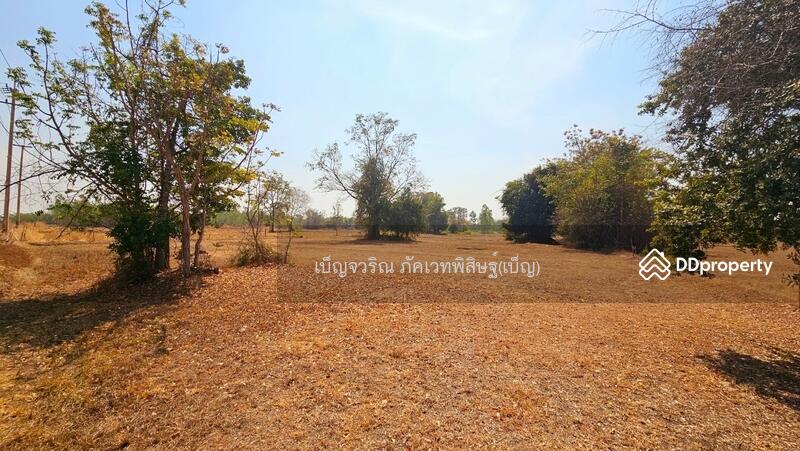 ขาย - WR-783882 ที่ดินอรัญประเทศ 10 ไร่ 369.7 ตร.ว. สระแก้ว ใกล้ตลาดโรงเกลือ, สระแก้ว