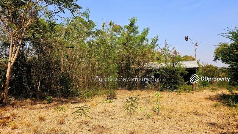 ขาย - WR-783882 ที่ดินอรัญประเทศ 10 ไร่ 369.7 ตร.ว. สระแก้ว ใกล้ตลาดโรงเกลือ, สระแก้ว