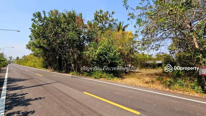 ขาย - WR-783882 ที่ดินอรัญประเทศ 10 ไร่ 369.7 ตร.ว. สระแก้ว ใกล้ตลาดโรงเกลือ, สระแก้ว