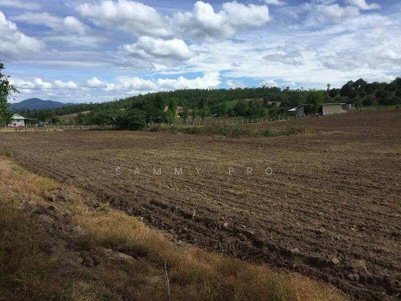 For Sale - 58120, Mae Hong Son