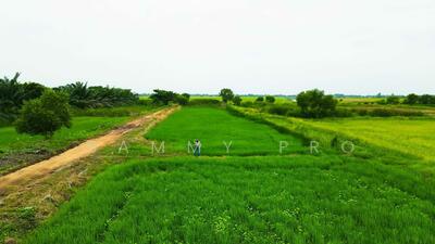 ขาย - 26120, นครนายก