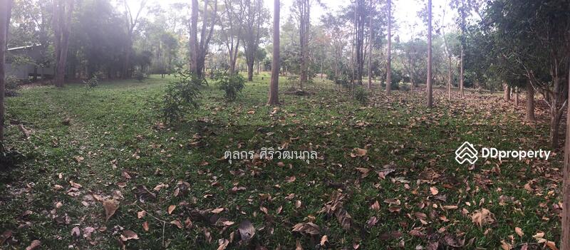 ขาย - ขายที่ดิน แบ่งขาย อ.แม่แตง เจ้าของแบ่งขายที่ดินถมแล้ว, เชียงใหม่