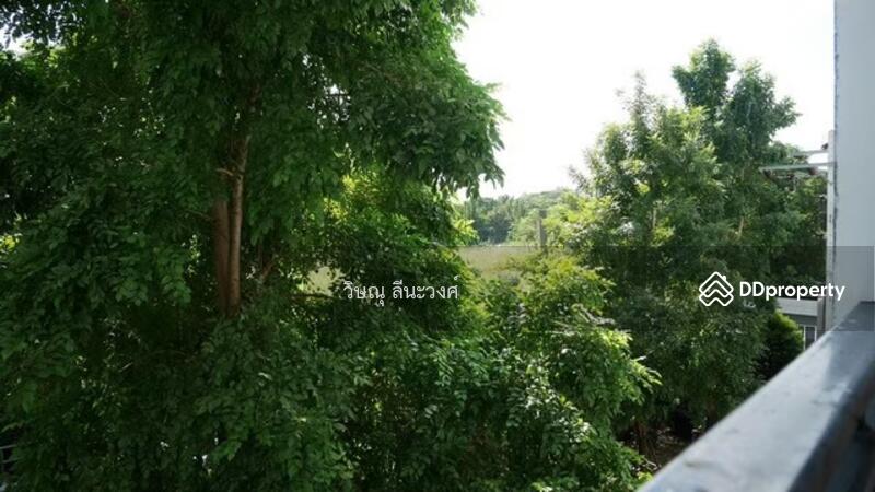 For Sale - The One Plus @Srinakarin, Bangkok