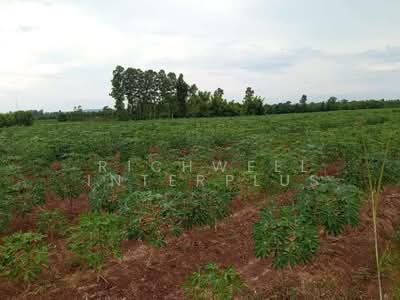 ขาย - ขายที่ดินกรอกสมบูรณ์ 21 ไร่ ใกล้ถนนเส้น 3079 - 1.1 กม. อ.ศรีมหาโพธิ, ปราจีนบุรี