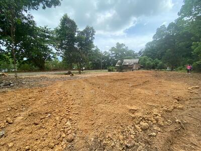 ขาย - ที่ดินเกาะยาว พังงา, พังงา