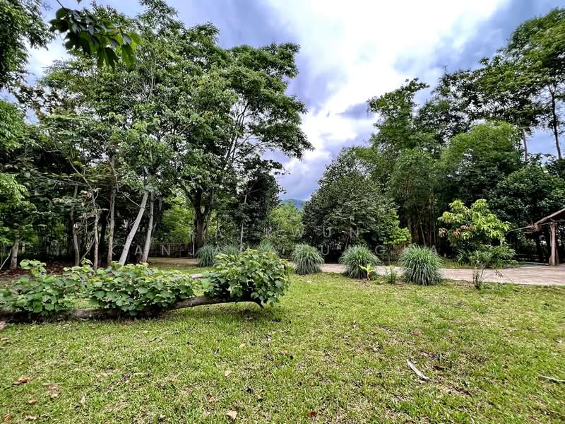 CB46 : House/Large commercial building for sale in Nang Lae, Chiangrai, Chiang Rai, Nang Lae, Muang Chiang Rai, Chiang Rai, , 613 sqm, Business For Sale, by Kaekwun Kanjanapungka, 11781004 - DDproperty.com