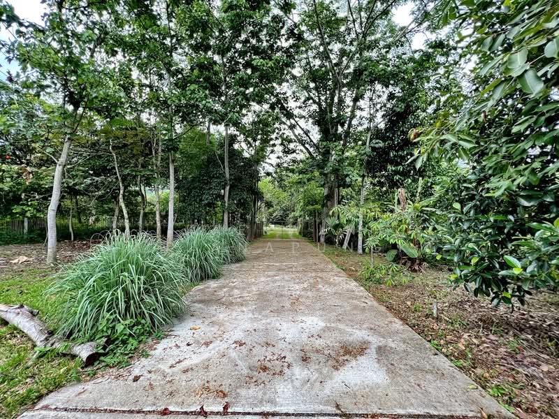 CB46 : House/Large commercial building for sale in Nang Lae, Chiangrai, Chiang Rai, Nang Lae, Muang Chiang Rai, Chiang Rai, , 613 sqm, Business For Sale, by Kaekwun Kanjanapungka, 11781004 - DDproperty.com