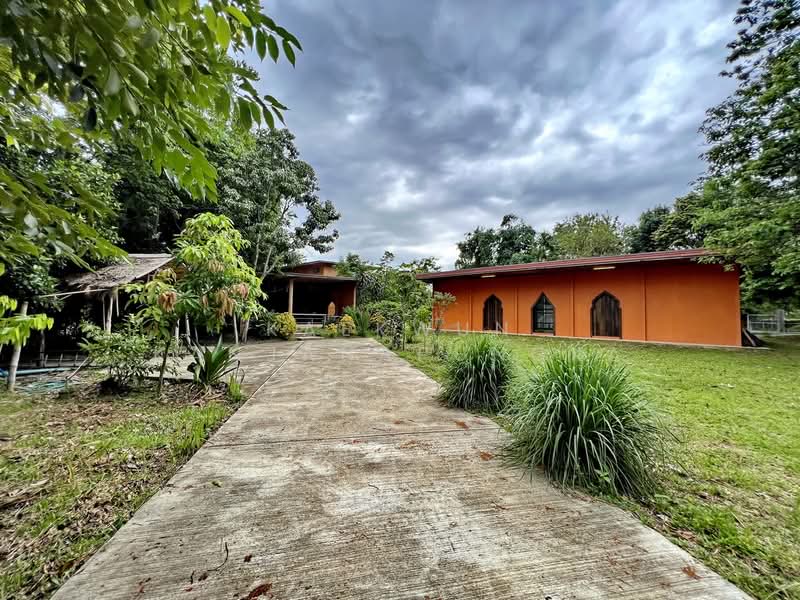 CB46 : House/Large commercial building for sale in Nang Lae, Chiangrai, Chiang Rai, Nang Lae, Muang Chiang Rai, Chiang Rai, , 613 sqm, Business For Sale, by Kaekwun Kanjanapungka, 11781004 - DDproperty.com