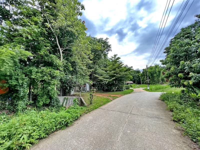 CB46 : House/Large commercial building for sale in Nang Lae, Chiangrai, Chiang Rai, Nang Lae, Muang Chiang Rai, Chiang Rai, , 613 sqm, Business For Sale, by Kaekwun Kanjanapungka, 11781004 - DDproperty.com