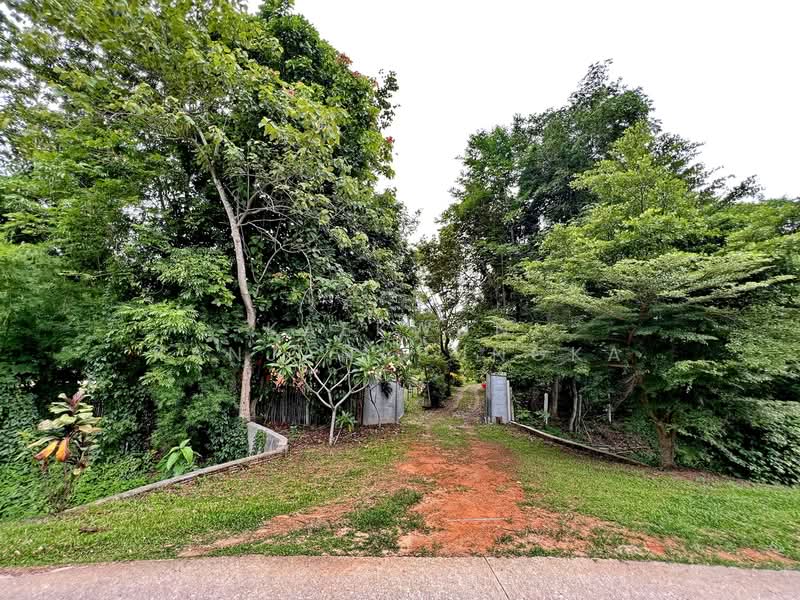 CB46 : ขายบ้าน/อาคารขนาดใหญ่พร้อมที่ดิน ใกล้สถานที่ท่องเที่ยว นางแล เชียงราย, เชียงราย, นางแล, เมืองเชียงราย, เชียงราย, 613 ตร.ม., กิจการ ขาย, โดย Kaekwun Kanjanapungka, 11781004 - DDproperty.com