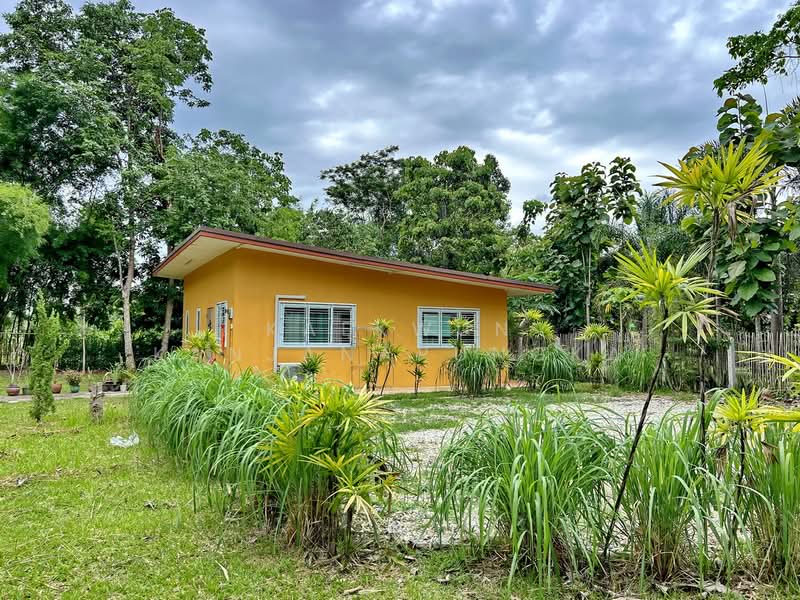CB46 : House/Large commercial building for sale in Nang Lae, Chiangrai, Chiang Rai, Nang Lae, Muang Chiang Rai, Chiang Rai, , 613 sqm, Business For Sale, by Kaekwun Kanjanapungka, 11781004 - DDproperty.com