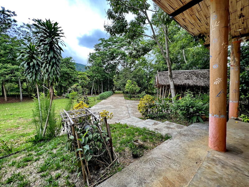 CB46 : House/Large commercial building for sale in Nang Lae, Chiangrai, Chiang Rai, Nang Lae, Muang Chiang Rai, Chiang Rai, , 613 sqm, Business For Sale, by Kaekwun Kanjanapungka, 11781004 - DDproperty.com