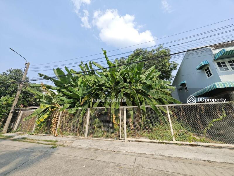 ขาย - ที่ดินเสนานิคม, กรุงเทพ