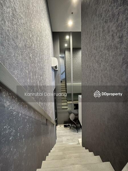 ขาย - The Line Sukhumvit 101 : เดอะ ไลน์ สุขุมวิท 101, กรุงเทพ