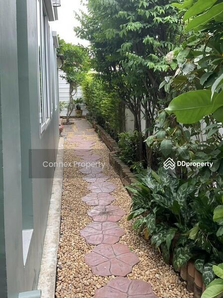 ขาย - Krongthong Tropical : กรองทอง ทรอปิคอล, กรุงเทพ