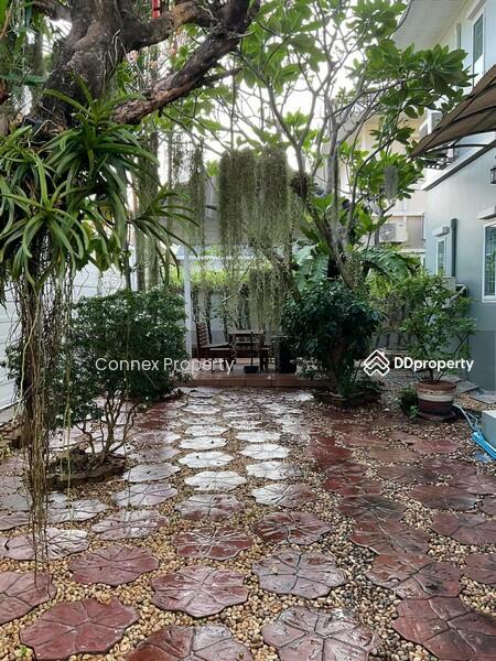 ขาย - Krongthong Tropical : กรองทอง ทรอปิคอล, กรุงเทพ