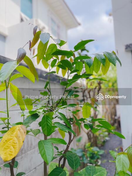 ขาย - Supalai Lagoon Condo : ศุภาลัย ลากูล คอนโด, ภูเก็ต