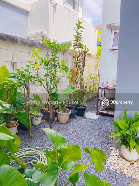 ขาย - Supalai Lagoon Condo : ศุภาลัย ลากูล คอนโด, ภูเก็ต