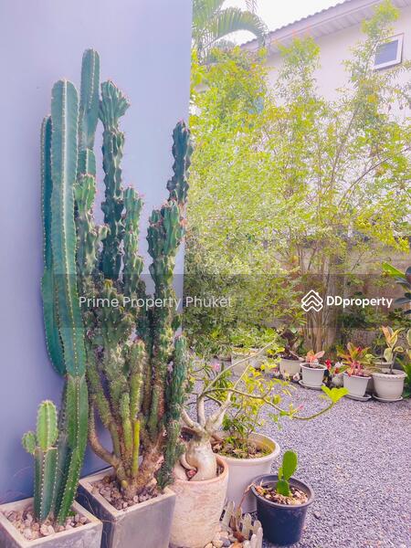 ขาย - Supalai Lagoon Condo : ศุภาลัย ลากูล คอนโด, ภูเก็ต