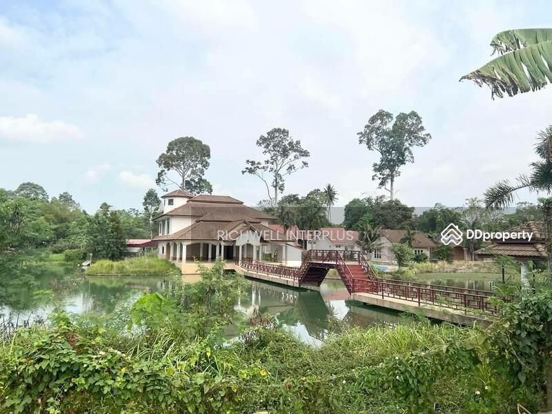 For Sale - Land for sale in Pattaya, Na Jomtien, 317 sq m., next to a concrete road, Soi Nong Jab Tao,, Chon Buri