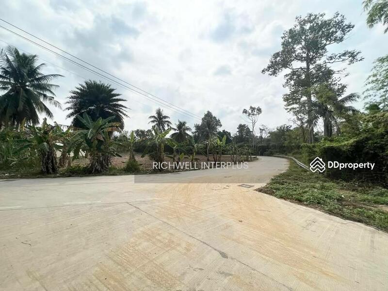 For Sale - Land for sale in Pattaya, Na Jomtien, 317 sq m., next to a concrete road, Soi Nong Jab Tao,, Chon Buri