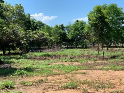 ขาย - ขายที่ดินถมแล้ว พื้นที่ธรรมชาติ แหล่งชุมชน ติดริมแม่น้ำบางประกง ฉะเชิงเทรา, ฉะเชิงเทรา