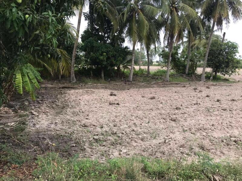 ขายที่ดินบ้านบึง 3.5 ไร่ ใกล้ตัวเมืองบ้านบึง-6.3กม. ใกล้ถ.3138-950 เมตร, ชลบุรี, บ้านบึง, บ้านบึง, ชลบุรี, 5,956 ตร.ม., ที่ดิน ขาย, โดย RICHWELL INTERPLUS, 11785699 - DDproperty.com