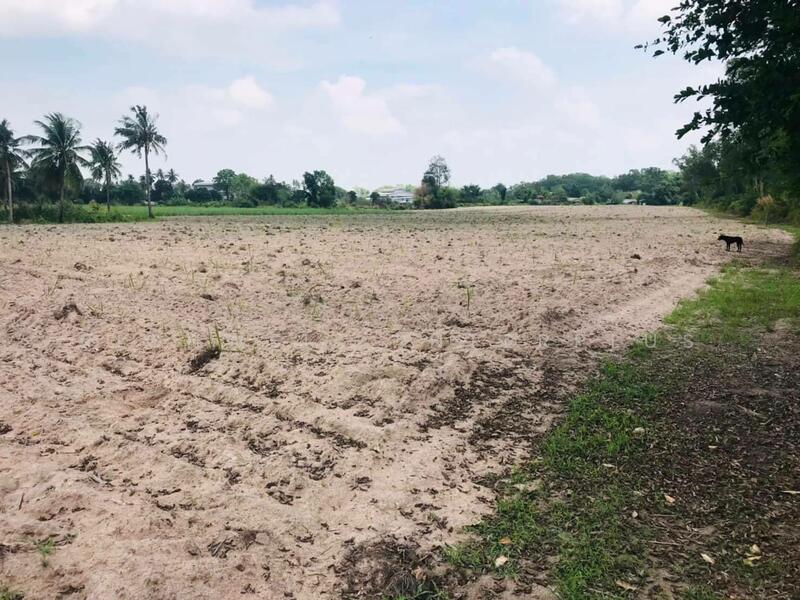 ขายที่ดินบ้านบึง 3.5 ไร่ ใกล้ตัวเมืองบ้านบึง-6.3กม. ใกล้ถ.3138-950 เมตร, ชลบุรี, บ้านบึง, บ้านบึง, ชลบุรี, 5,956 ตร.ม., ที่ดิน ขาย, โดย RICHWELL INTERPLUS, 11785699 - DDproperty.com