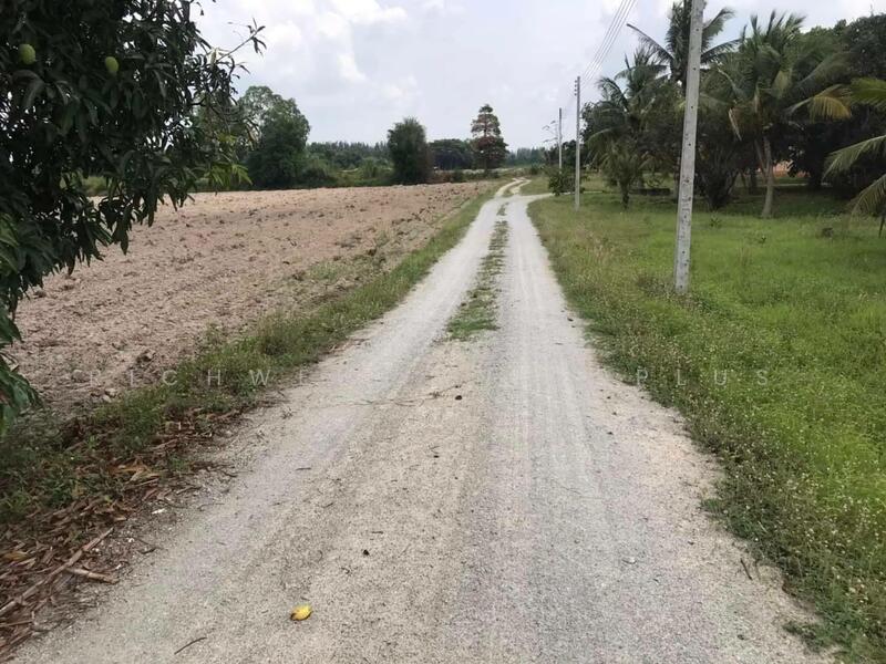 ขายที่ดินบ้านบึง 3.5 ไร่ ใกล้ตัวเมืองบ้านบึง-6.3กม. ใกล้ถ.3138-950 เมตร, ชลบุรี, บ้านบึง, บ้านบึง, ชลบุรี, 5,956 ตร.ม., ที่ดิน ขาย, โดย RICHWELL INTERPLUS, 11785699 - DDproperty.com