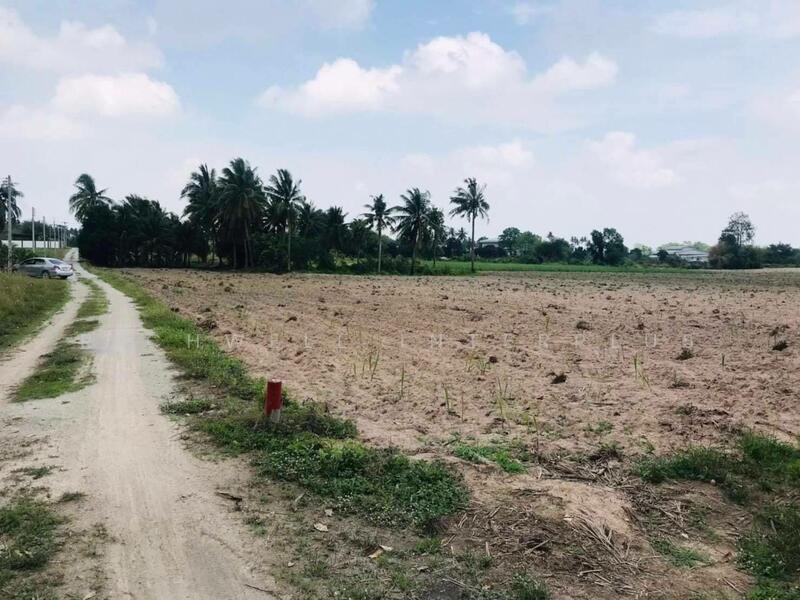 ขายที่ดินบ้านบึง 3.5 ไร่ ใกล้ตัวเมืองบ้านบึง-6.3กม. ใกล้ถ.3138-950 เมตร, Chon Buri (Pattaya), Ban Bung, Ban Bung, Chon Buri (Pattaya), , 5,956 sqm, Land For Sale, by RICHWELL INTERPLUS, 11785699 - DDproperty.com