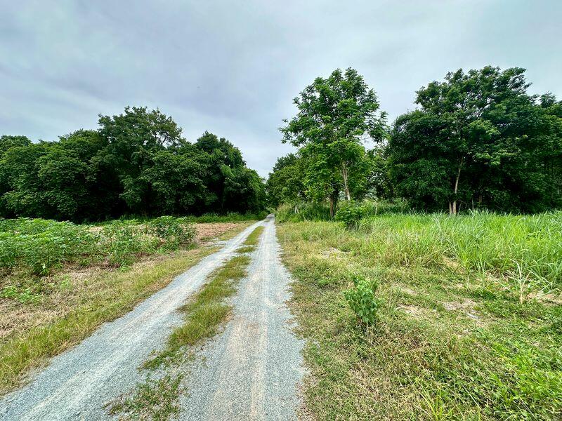 ที่ดินเปล่า บางพระ ศรีราชา, Chon Buri (Pattaya), Bang Phra, Si Racha, Chon Buri (Pattaya), , 3,404 sqm, Land For Sale, by A.T.A. Property, 11786424 - DDproperty.com