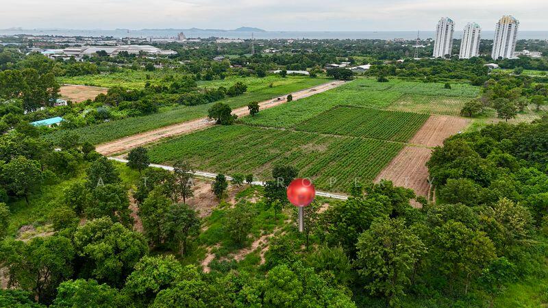 ที่ดินเปล่า บางพระ ศรีราชา, Chon Buri (Pattaya), Bang Phra, Si Racha, Chon Buri (Pattaya), , 3,404 sqm, Land For Sale, by A.T.A. Property, 11786424 - DDproperty.com
