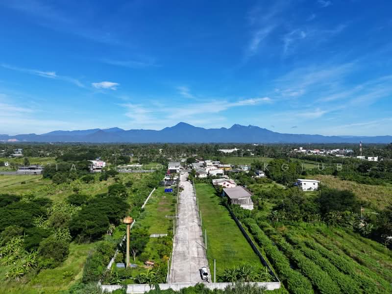 ที่ดิน, นครศรีธรรมราช, -, ปากพูน, เมืองนครศรีธรรมราช, นครศรีธรรมราช, 3,444 ตร.ม., ที่ดิน ขาย, โดย KIATTIKORN SUKGLUB, 11786697 - DDproperty.com