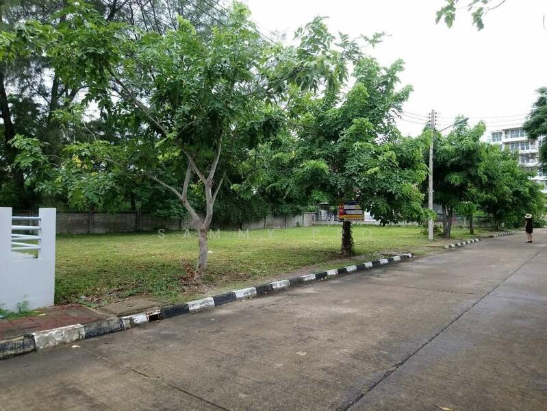 ขายที่ดิน, Phetchaburi, Cha-am, Cha-Am, Phetchaburi, , 480 sqm, Land For Sale, by Sammy Pro, 11787443 - DDproperty.com