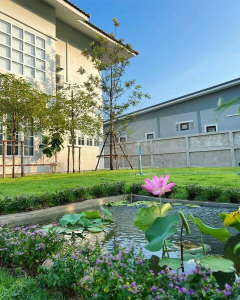 ท่ามะขาม, กาญจนบุรี, ท่ามะขาม, เมืองกาญจนบุรี, กาญจนบุรี, 800 ตร.ม., บ้านเดี่ยว ขาย, โดย ปภัชญา ธนัตถ์ภรณ์, 11787566 - DDproperty.com